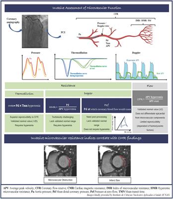 Microcirculation function assessment in acute myocardial infarction: A systematic review of microcirculatory resistance indices